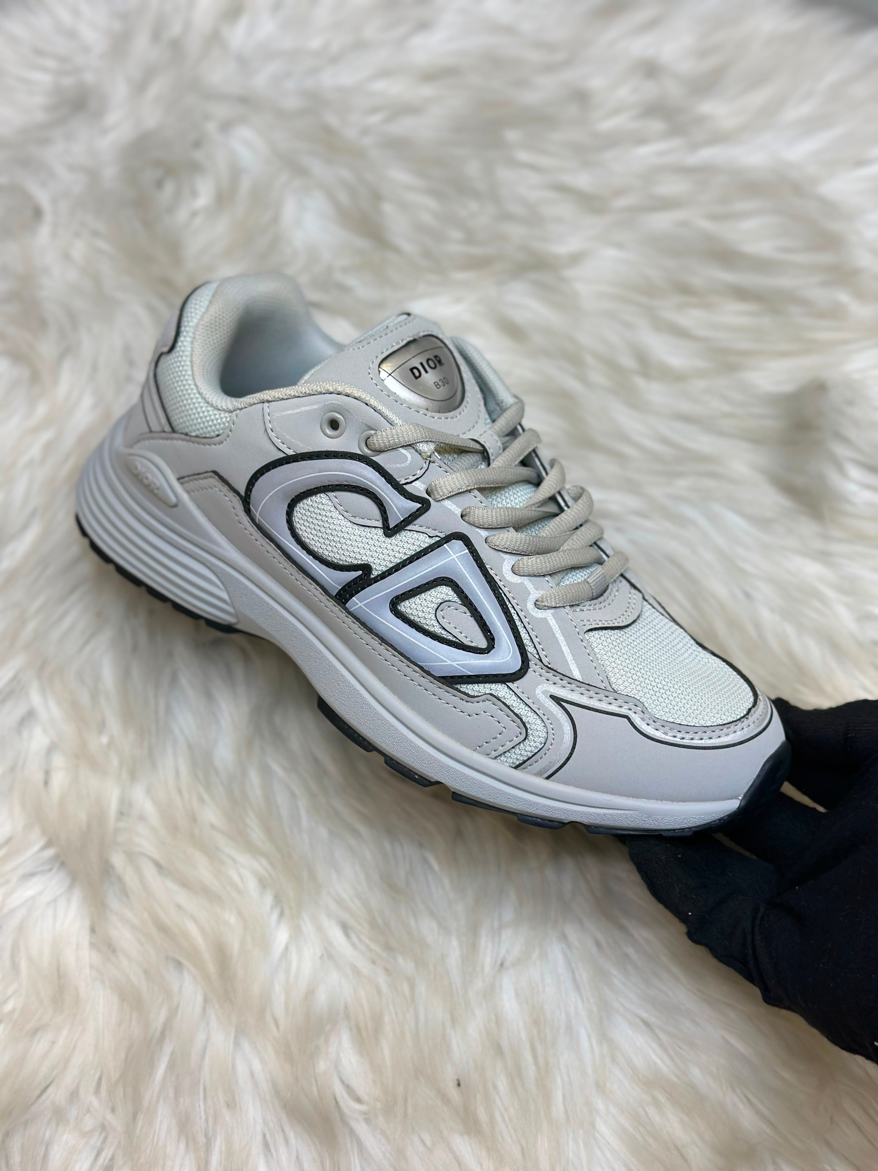 Dior B30 Reflective Grey